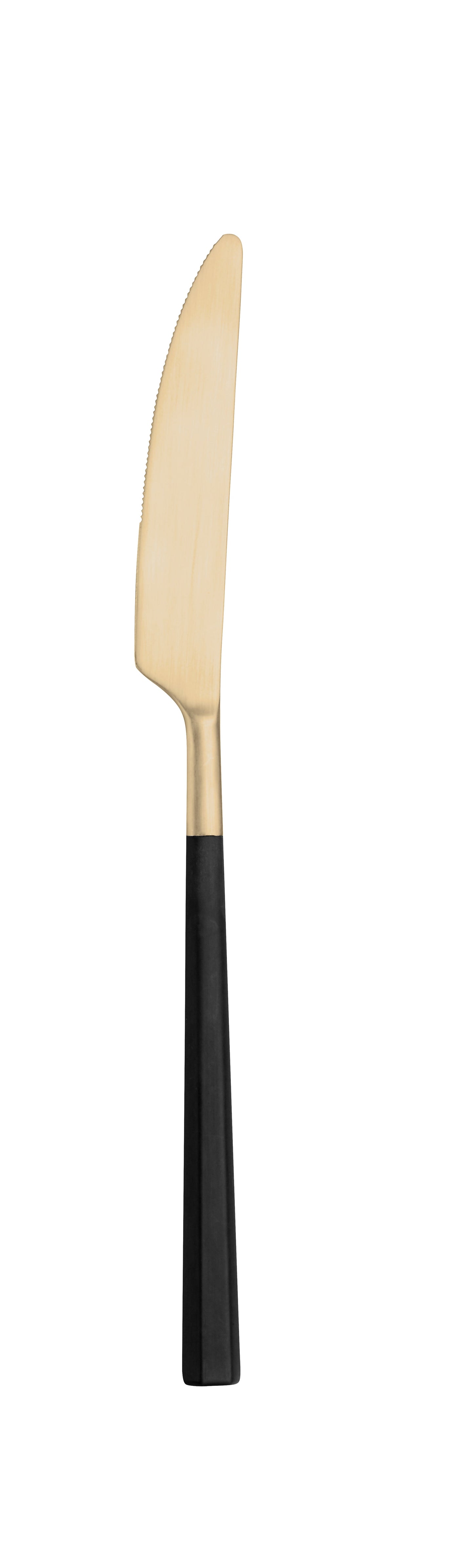 Pintinox Hive 18/10 Treasure Honey Finish (Pack of 12)
