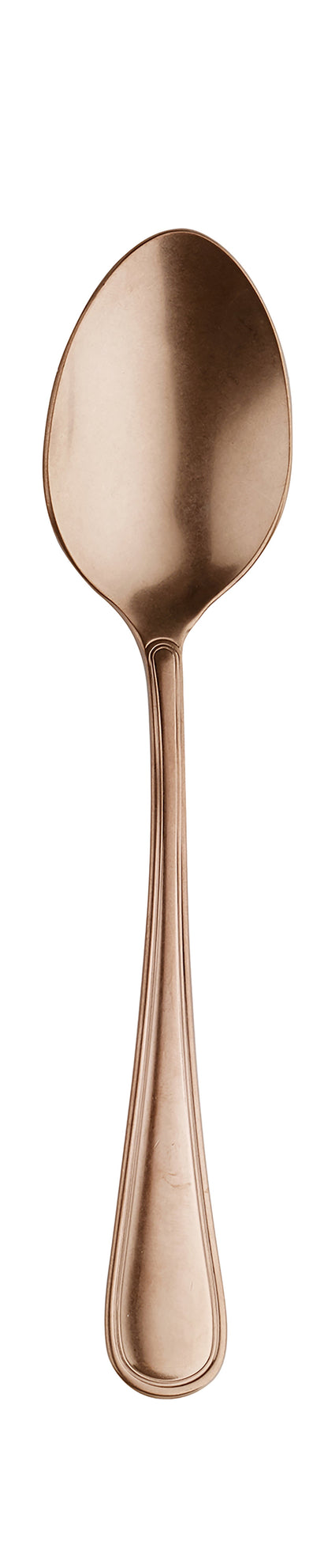 Pintinox Westminster 18/10 Alchimique Bronze (Pack of 12)